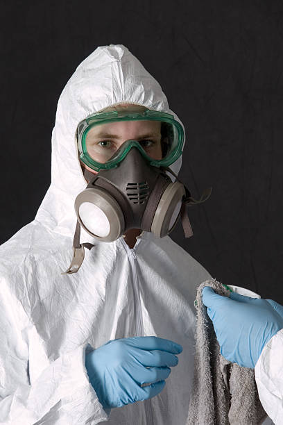 St Martinville, LA Mold Removal Company